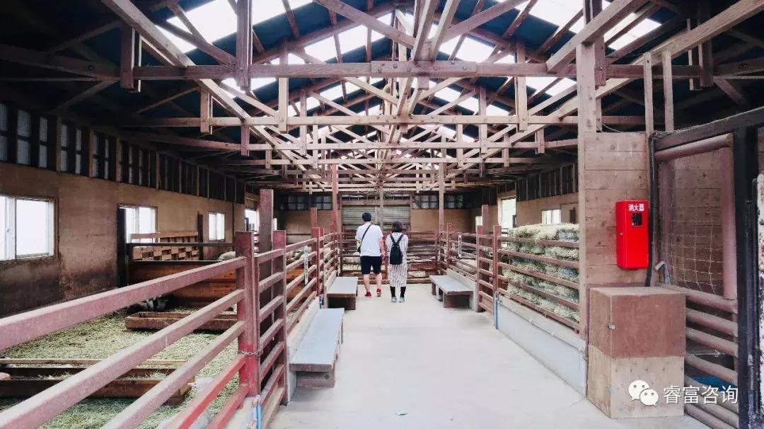 睿富文旅｜为纪念母亲和发展日本畜牧业而建的MotherFarm