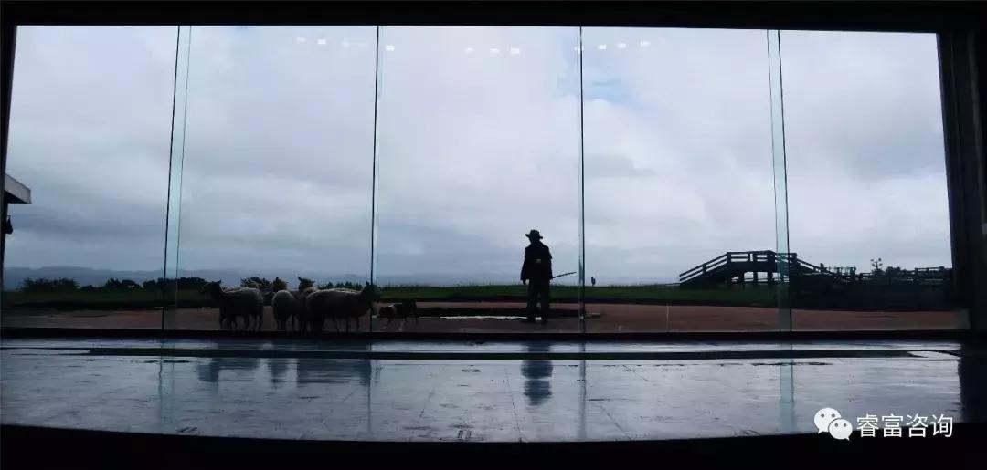 睿富文旅｜为纪念母亲和发展日本畜牧业而建的MotherFarm