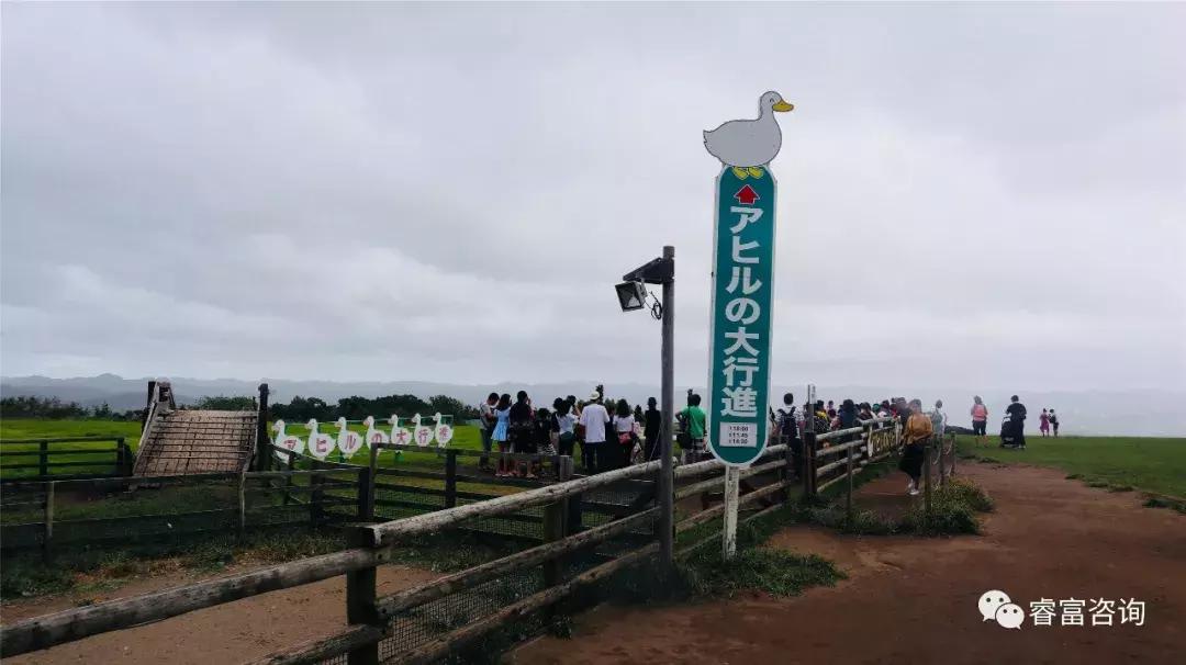 睿富文旅｜为纪念母亲和发展日本畜牧业而建的MotherFarm