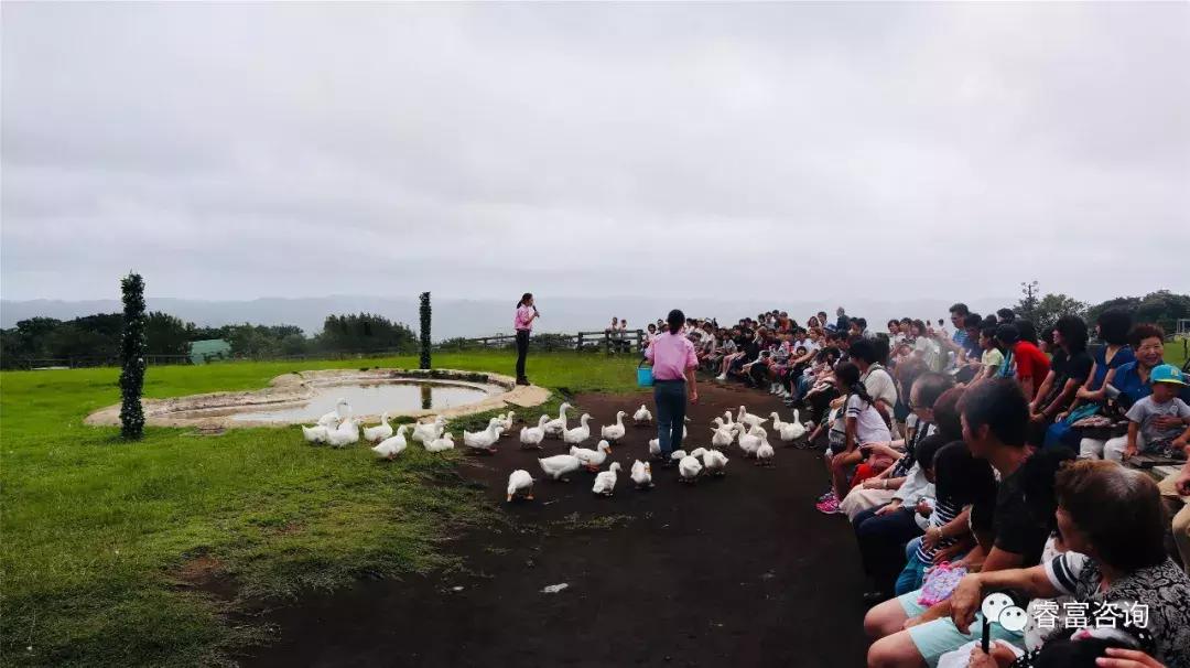 睿富文旅｜为纪念母亲和发展日本畜牧业而建的MotherFarm