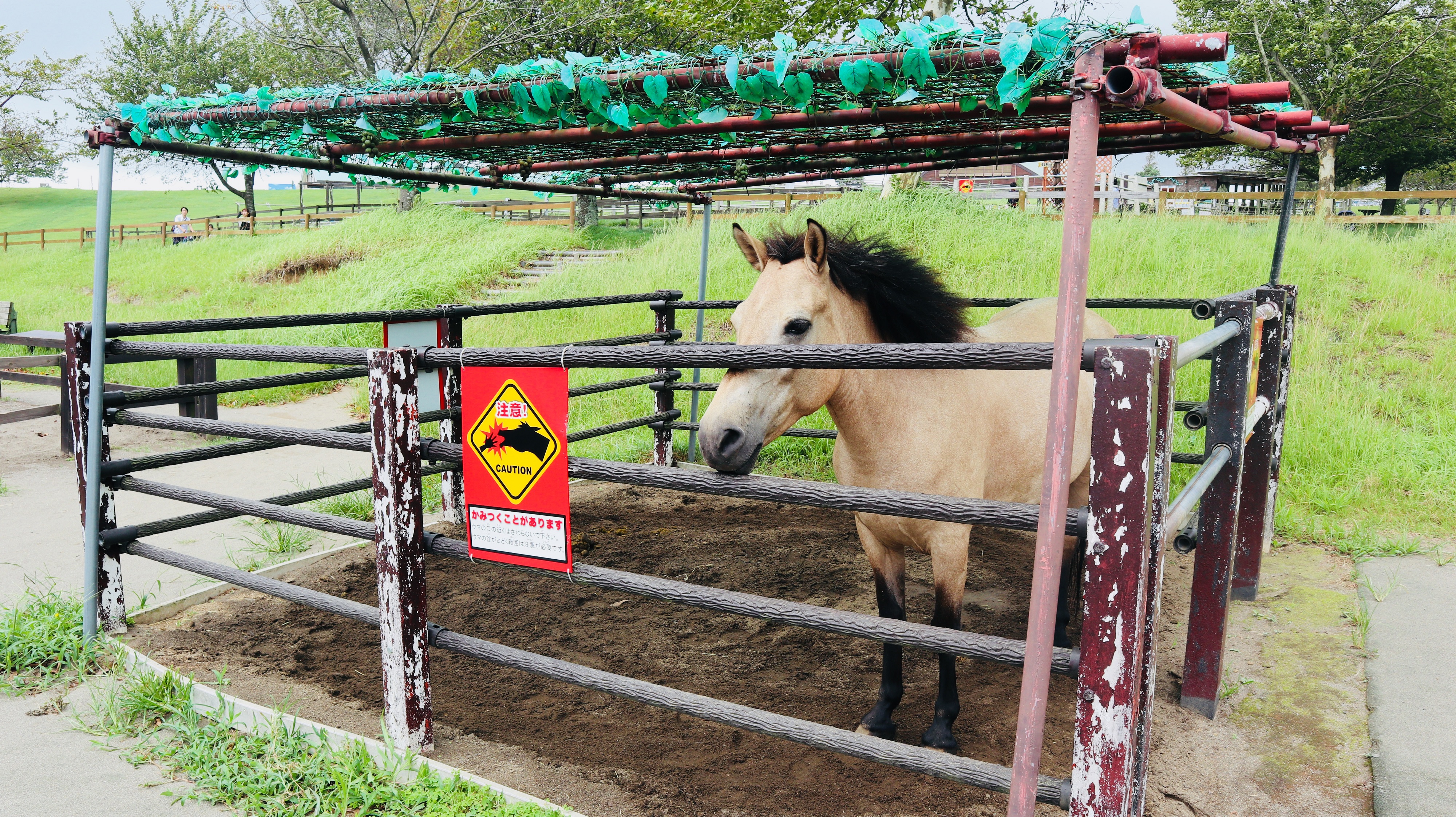 睿富文旅｜为纪念母亲和发展日本畜牧业而建的MotherFarm