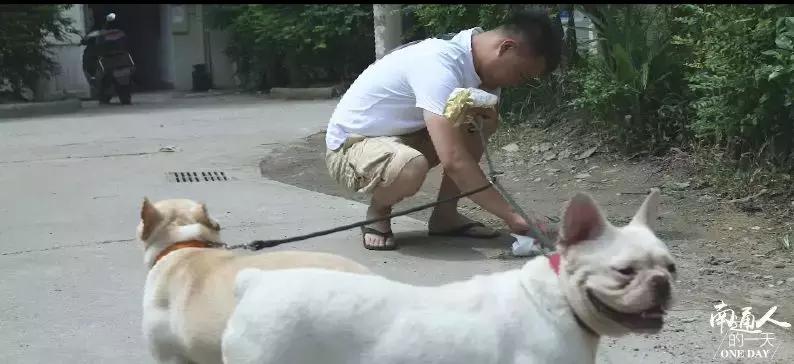 看到这家宠物店老板这么辛苦，我还是乖乖滚回去上班吧！