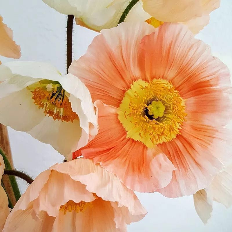 supreme是不是没那么火了,supreme现在还值得入手吗