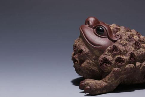 如何正确的养茶宠猫,养猫养狗说说