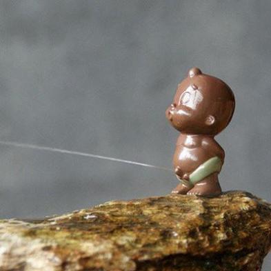 如何正确的养茶宠猫,养猫养狗说说