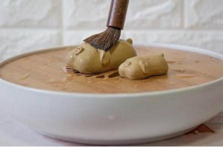 如何正确的养茶宠猫,养猫养狗说说