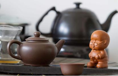 如何正确的养茶宠猫,养猫养狗说说