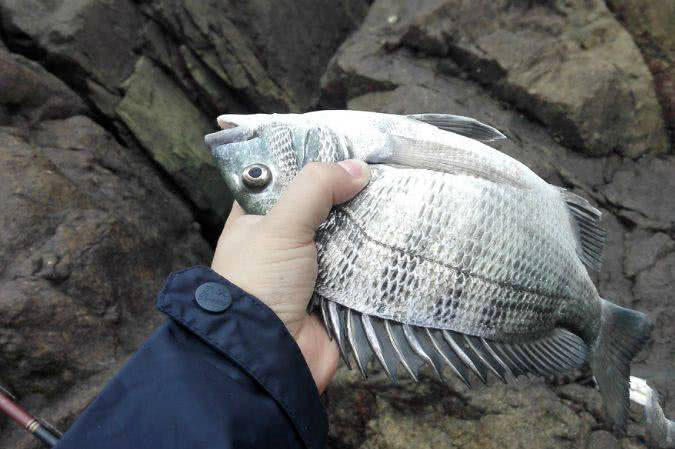 海钓最大的收获,海钓过足瘾