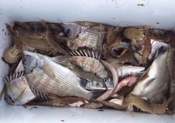 海钓最大的收获,海钓过足瘾