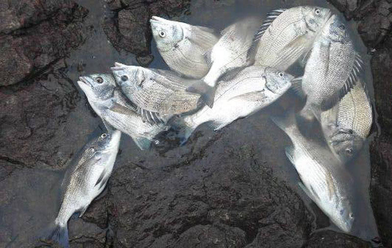 海钓最大的收获,海钓过足瘾