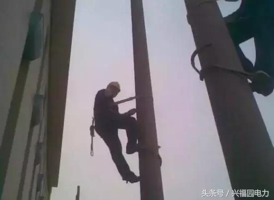 电网爬电线杆,爬电线杆