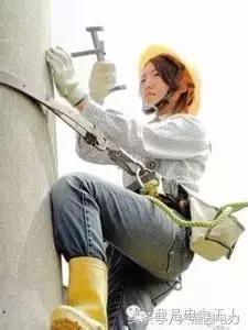 电网爬电线杆,爬电线杆