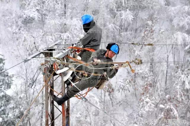 电网爬电线杆,爬电线杆