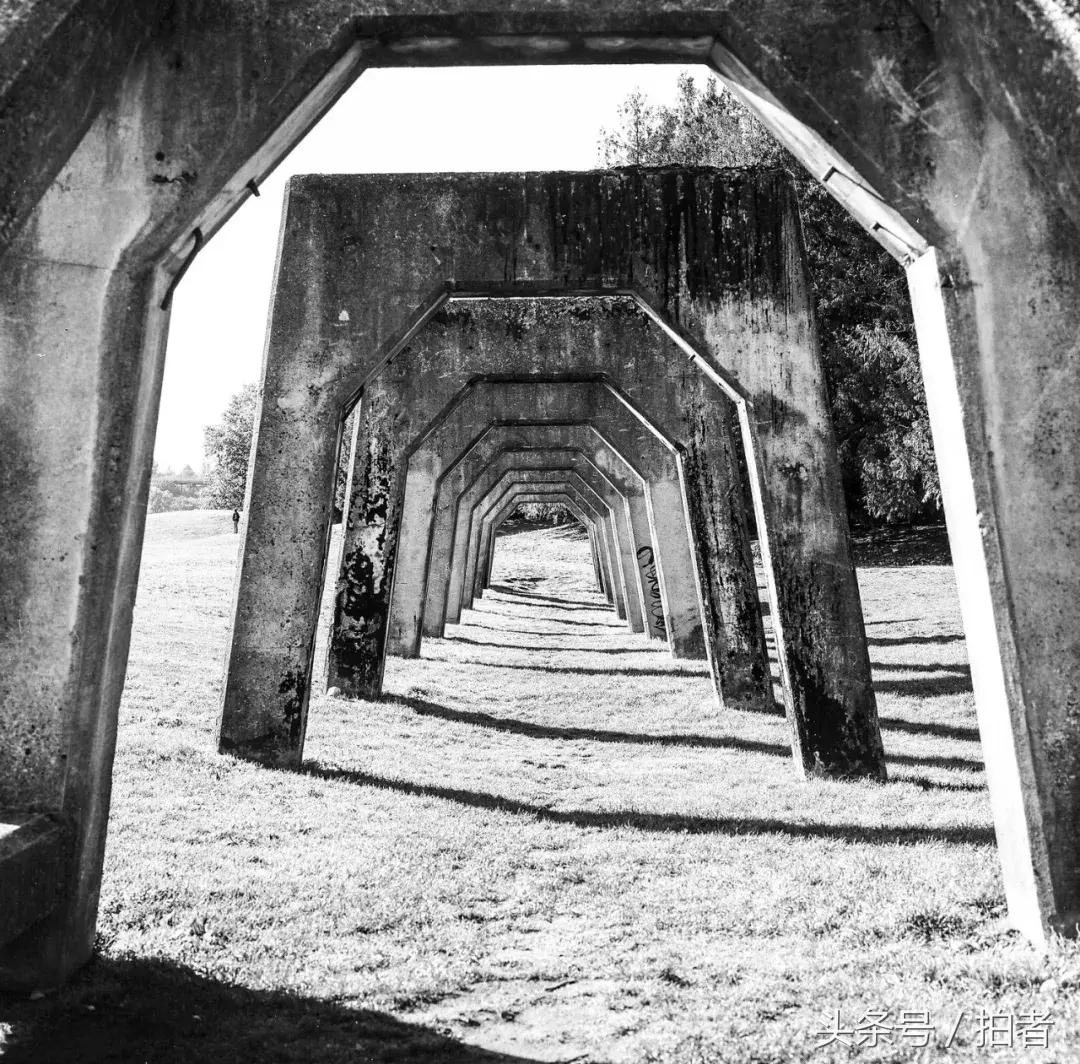 哈苏富士联名发布拍立得？不会diy的设计师不是好的摄影师