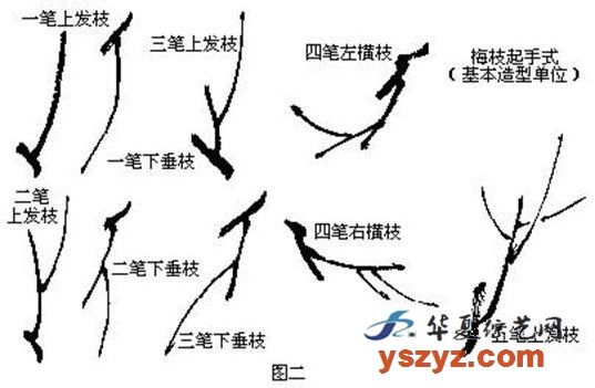 国画基础梅花的几种画法,徐湛国画梅花的画法视频