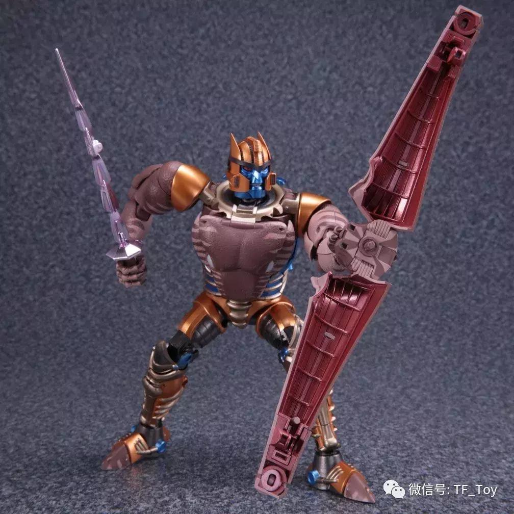 mp玩具,mp玩具2023