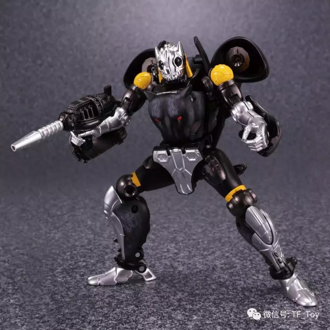 mp玩具,mp玩具2023