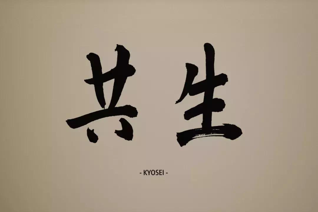 佳能eosr怎么分辨是不是正品,佳能eosr怎么看机器型号