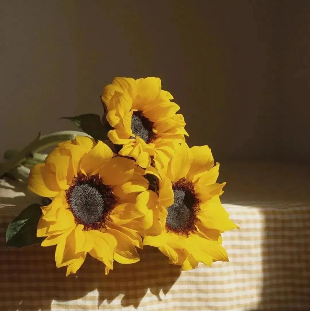 我到底是一个怎样的人用英语讲解,我到底是一个怎样的人呢