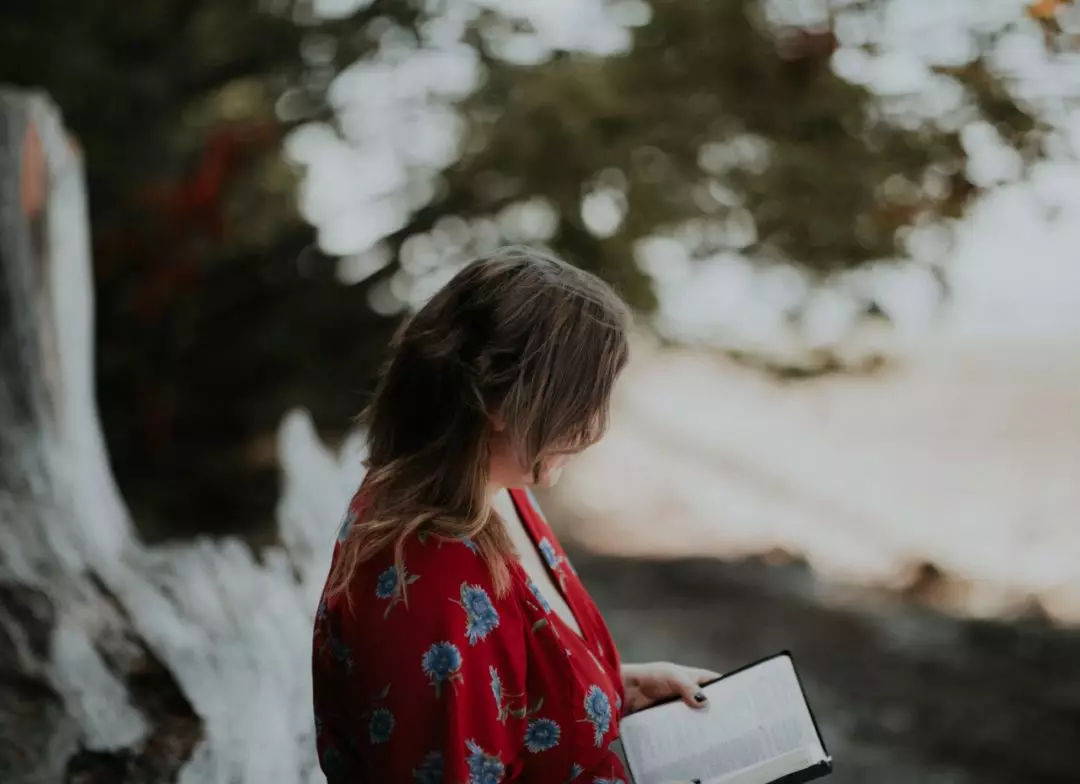 让孩子爱上阅读没你想象的那么难,让孩子不累的阅读理解