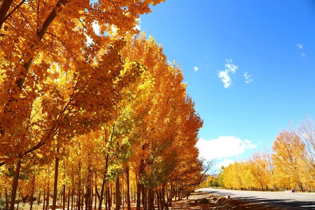 对不起，这个月我要去粤北山区的韶关了