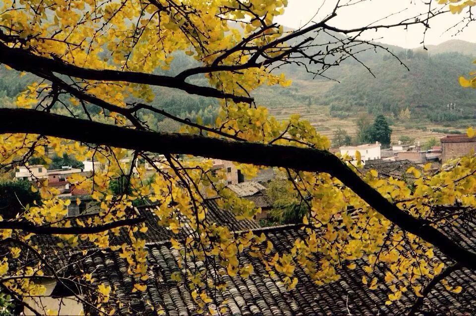 对不起，这个月我要去粤北山区的韶关了