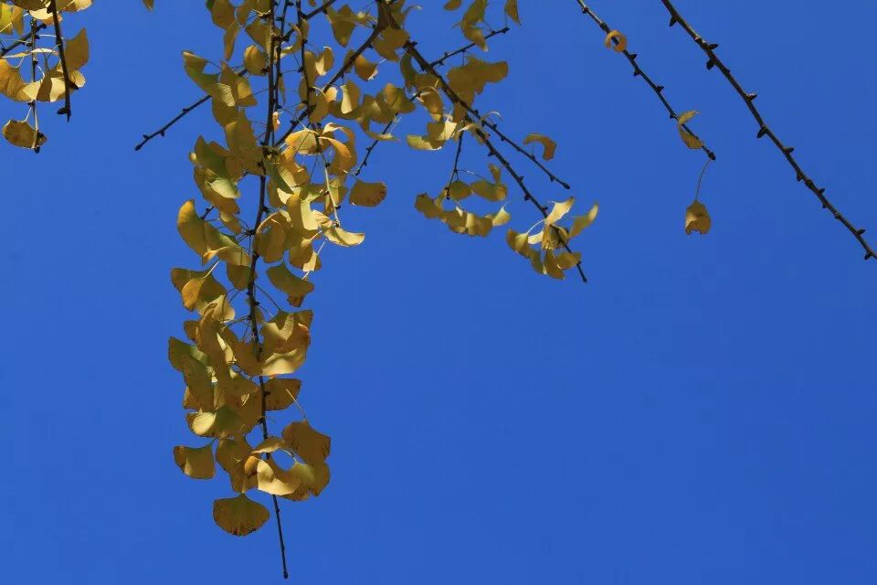 对不起，这个月我要去粤北山区的韶关了