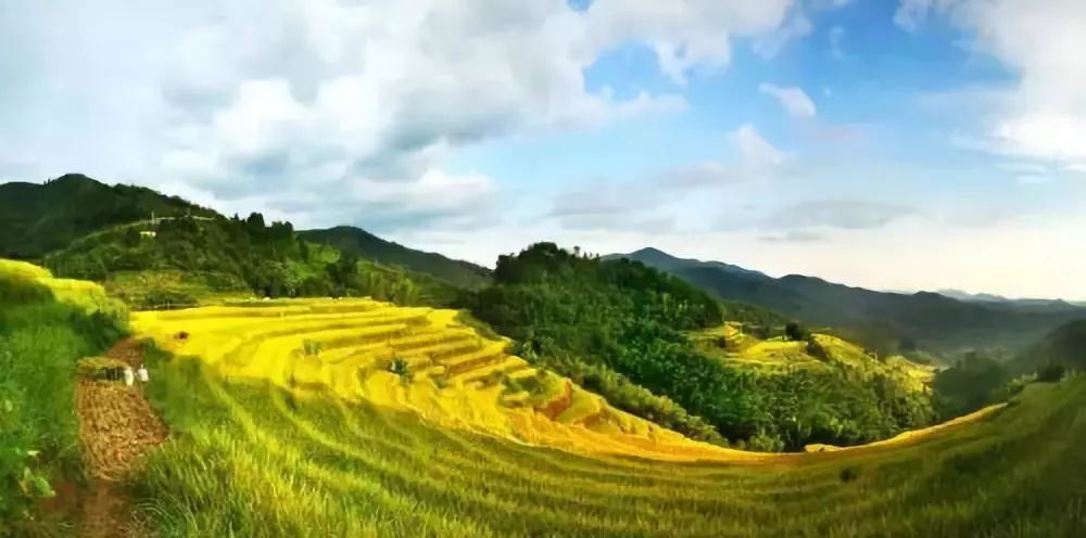 对不起，这个月我要去粤北山区的韶关了