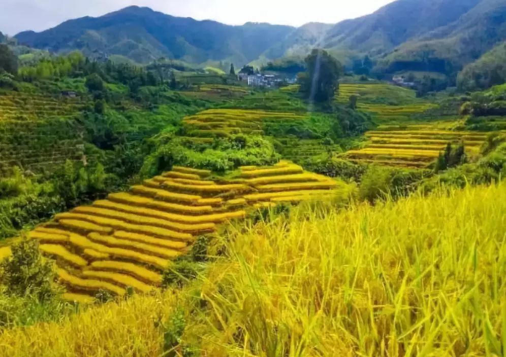 对不起，这个月我要去粤北山区的韶关了