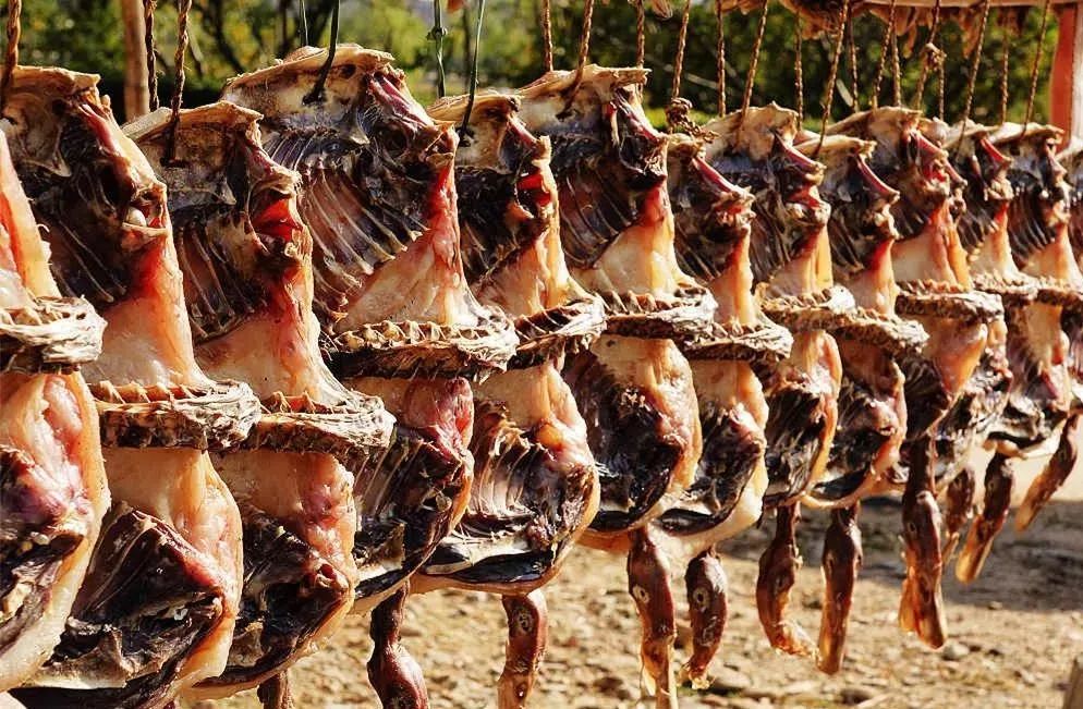 对不起，这个月我要去粤北山区的韶关了