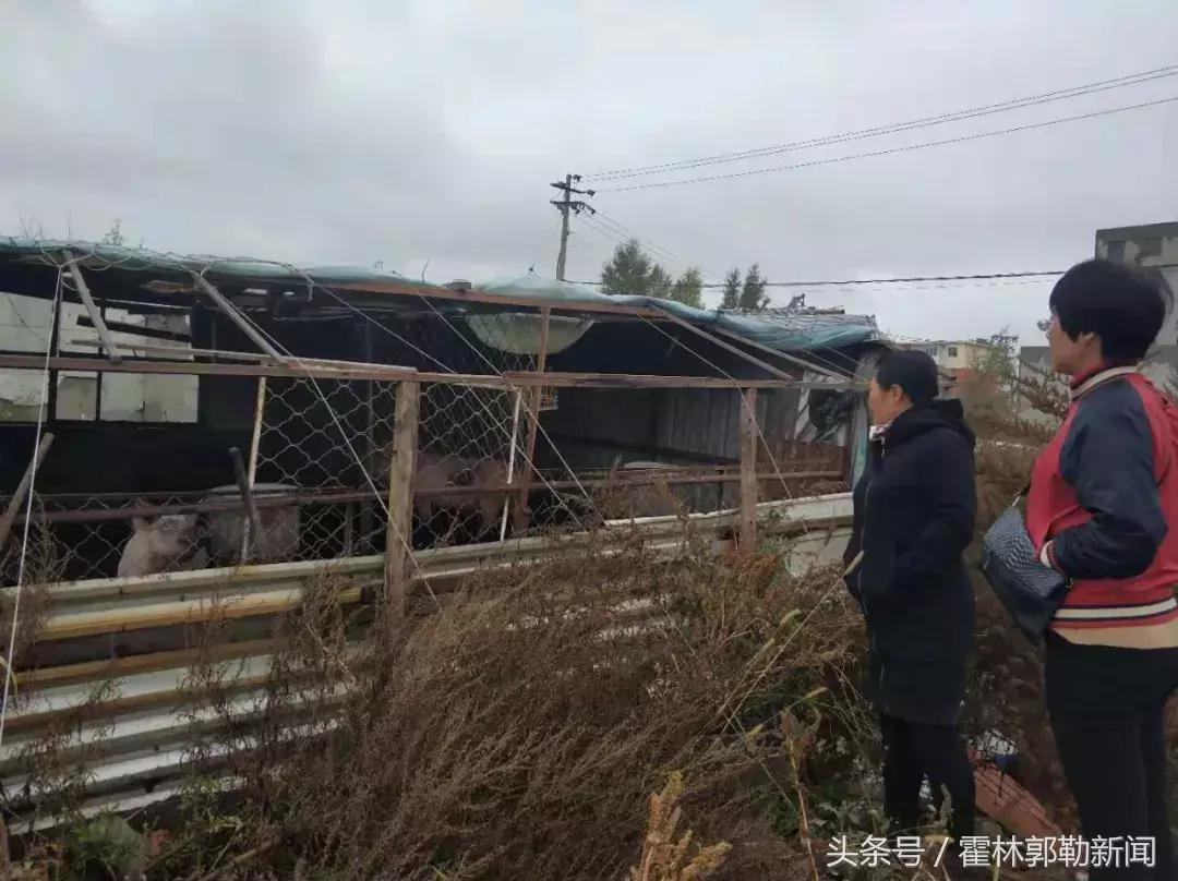 霍林郭勒今日新头条,霍林郭勒新闻2017
