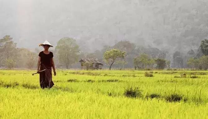 稻盛和夫给年轻人的忠告第七篇,稻盛和夫的25个忠告