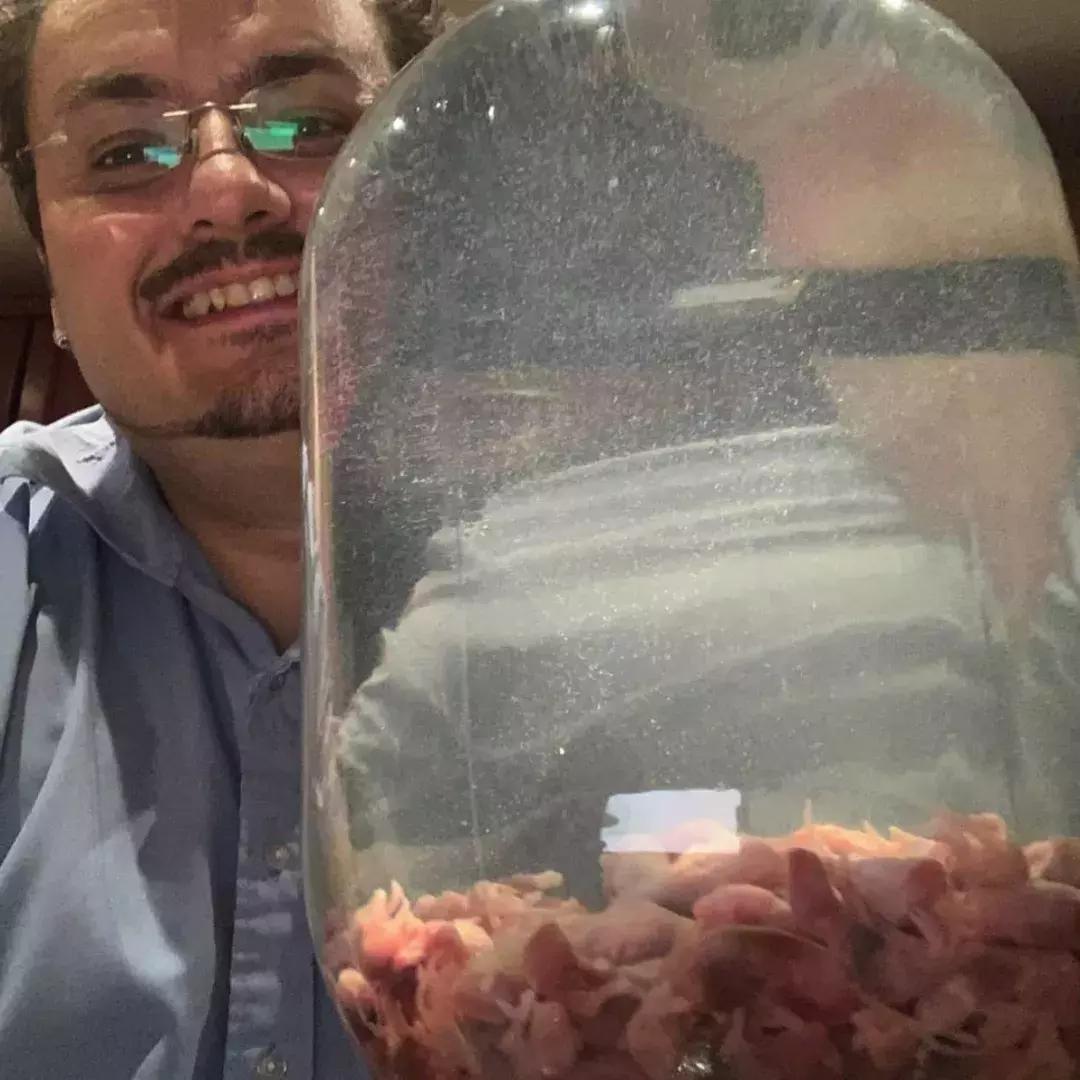 世界上最恶心食物博物馆,世界上最恶心食物博物馆试吃