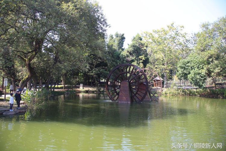 昔日水天一色的万佛湖美景,万佛湖的风景美如画