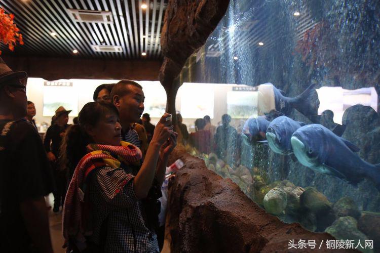 昔日水天一色的万佛湖美景,万佛湖的风景美如画