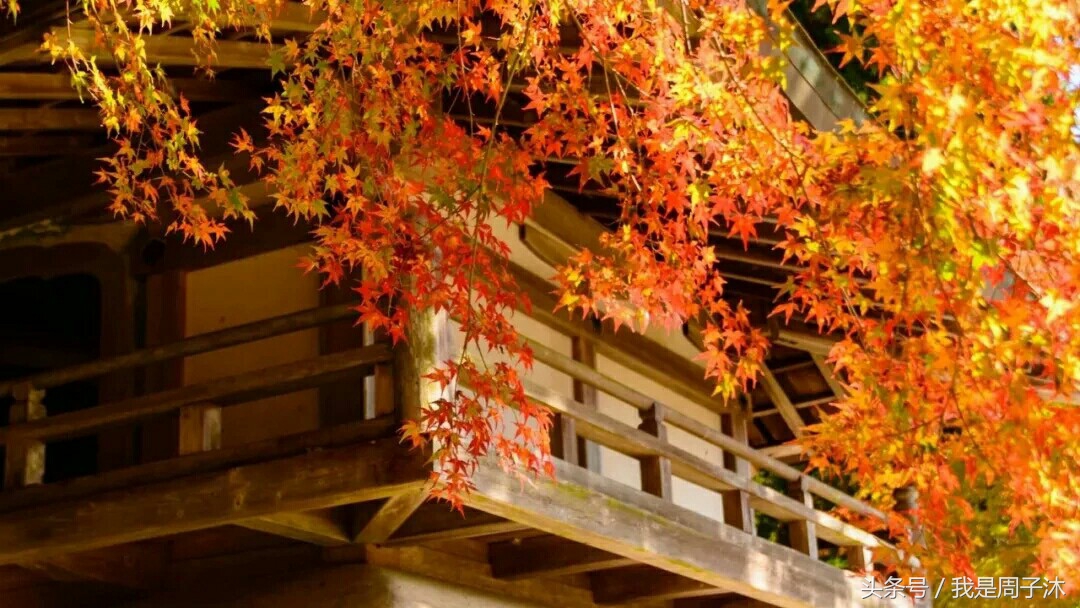 你几月出生就代表你是什么,出生月份代表的水