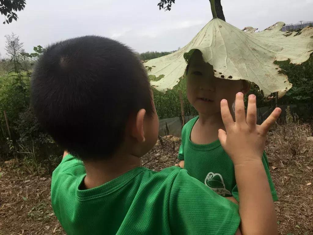 最好的自然教育,自然教育让孩子融入自然