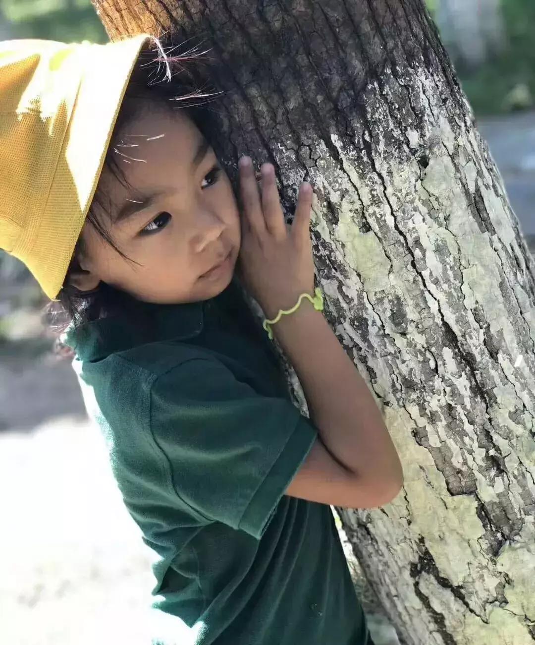 最好的自然教育,自然教育让孩子融入自然