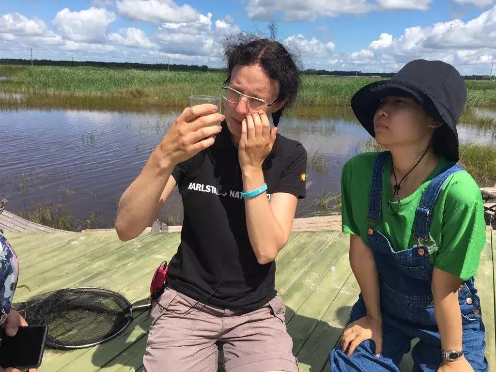 最好的自然教育,自然教育让孩子融入自然