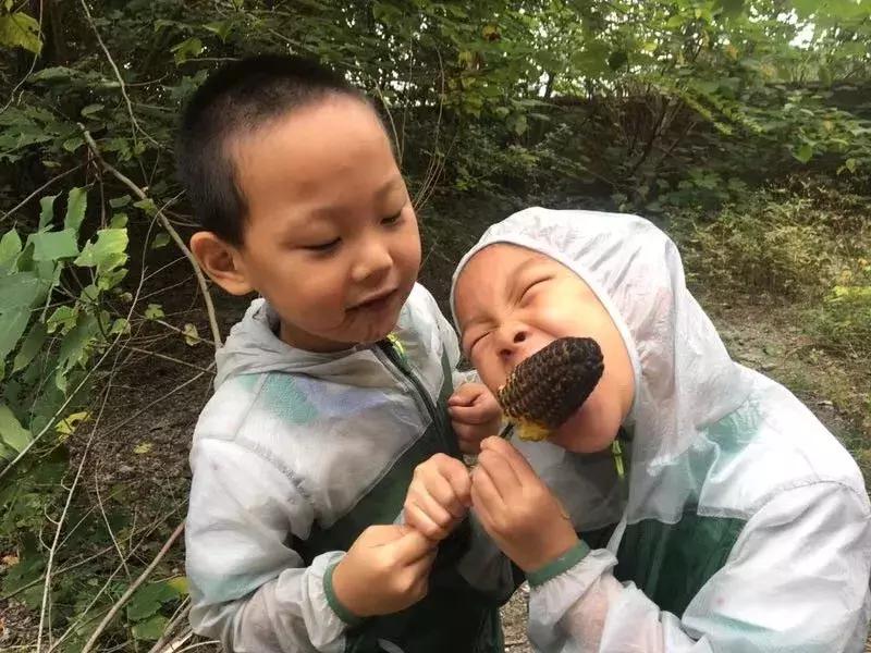 最好的自然教育,自然教育让孩子融入自然