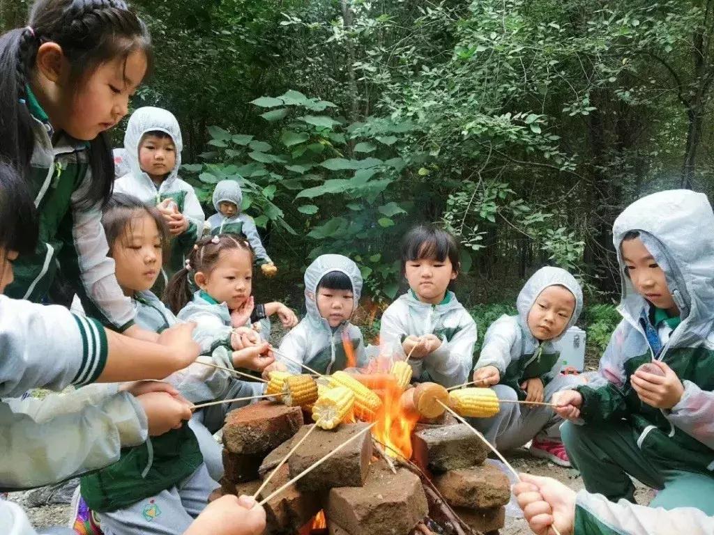 最好的自然教育,自然教育让孩子融入自然