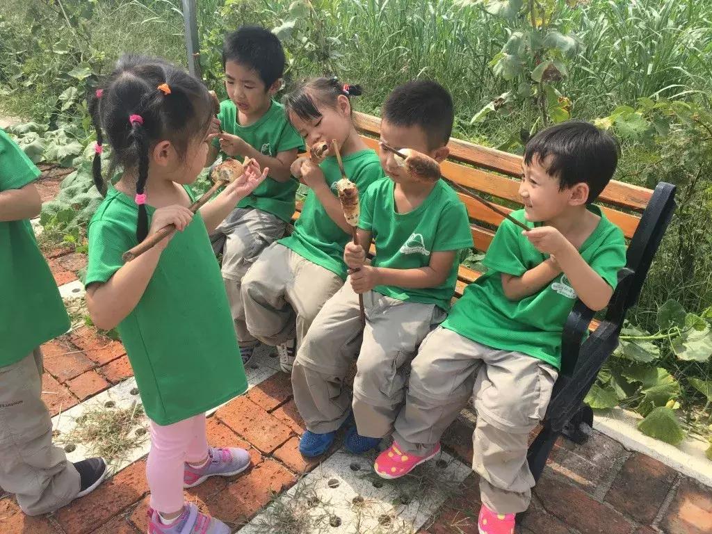 最好的自然教育,自然教育让孩子融入自然