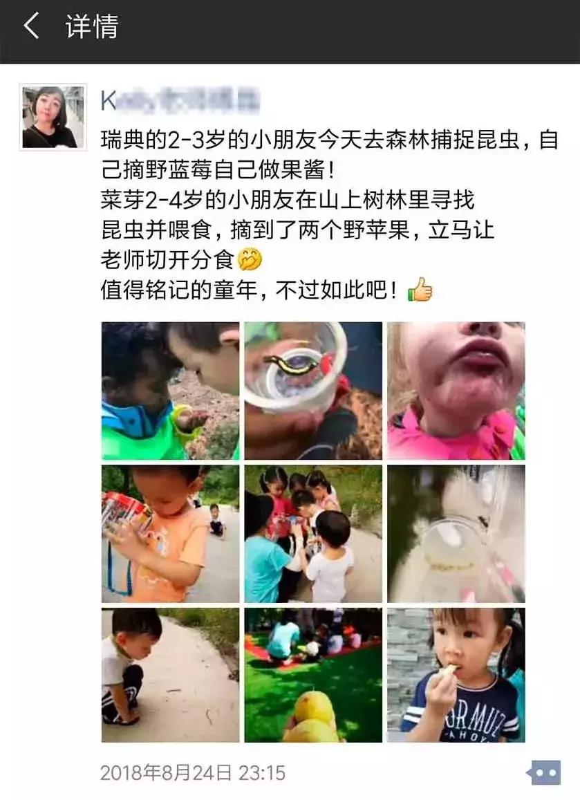 最好的自然教育,自然教育让孩子融入自然