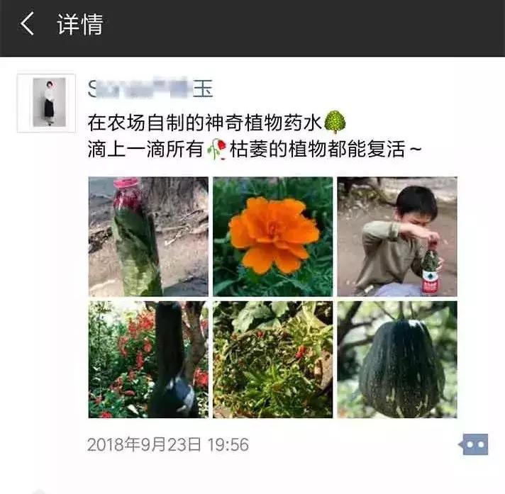 最好的自然教育,自然教育让孩子融入自然