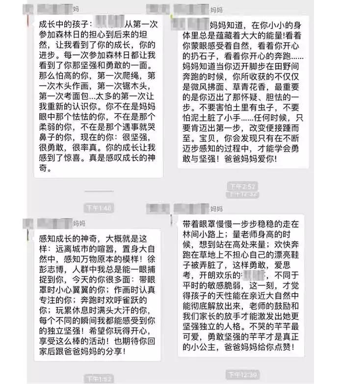 最好的自然教育,自然教育让孩子融入自然