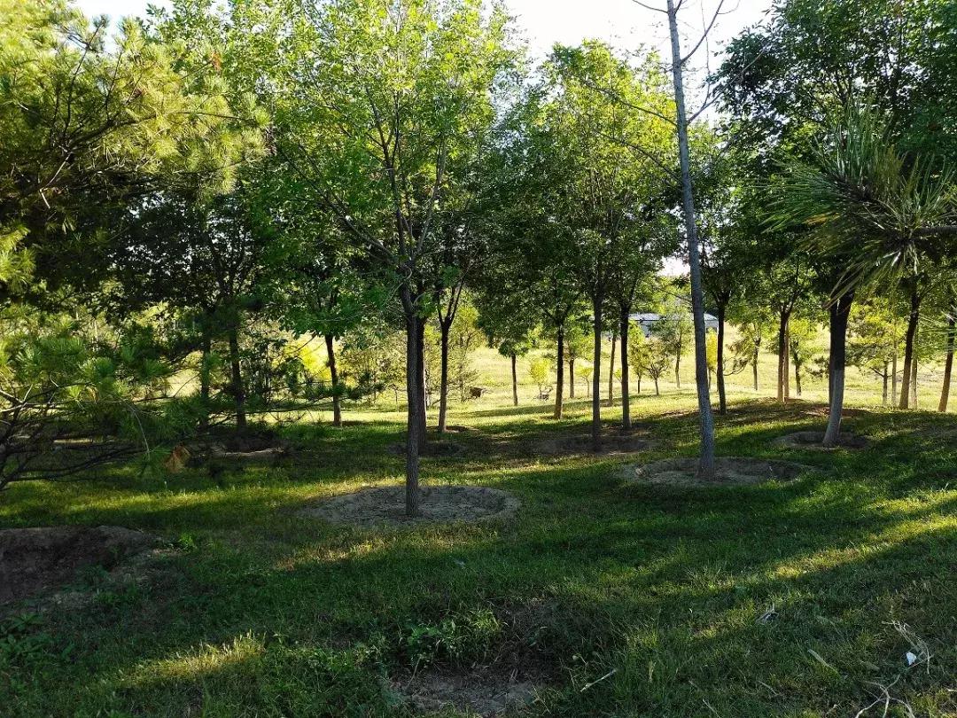 最好的自然教育,自然教育让孩子融入自然