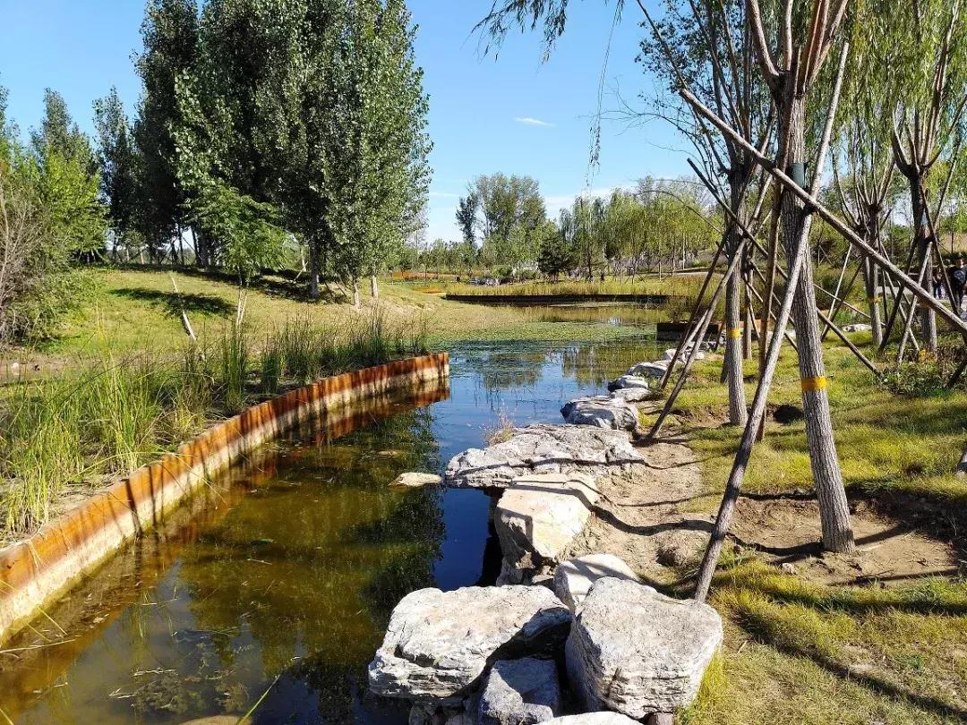 最好的自然教育,自然教育让孩子融入自然