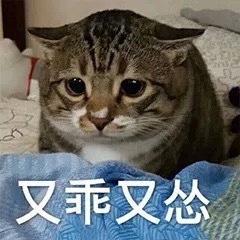 老王出差回家搞笑段子,隔壁老王回家搞笑段子