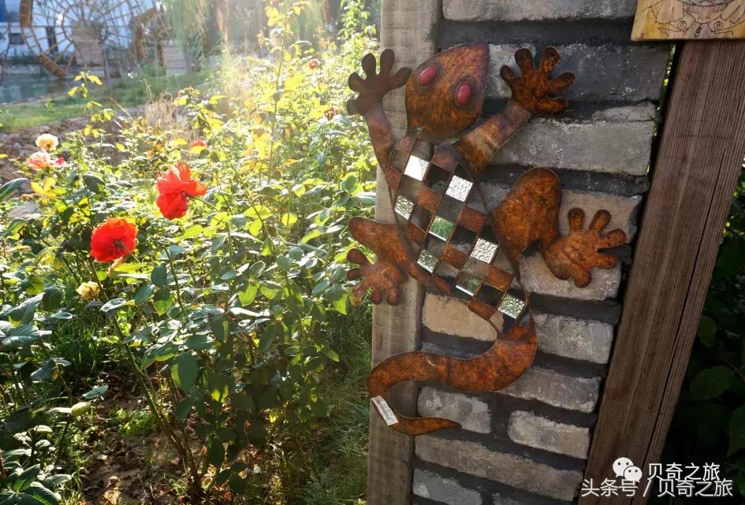 连云港云台山和花果山哪个值得去,连云港花果山云台山攻略