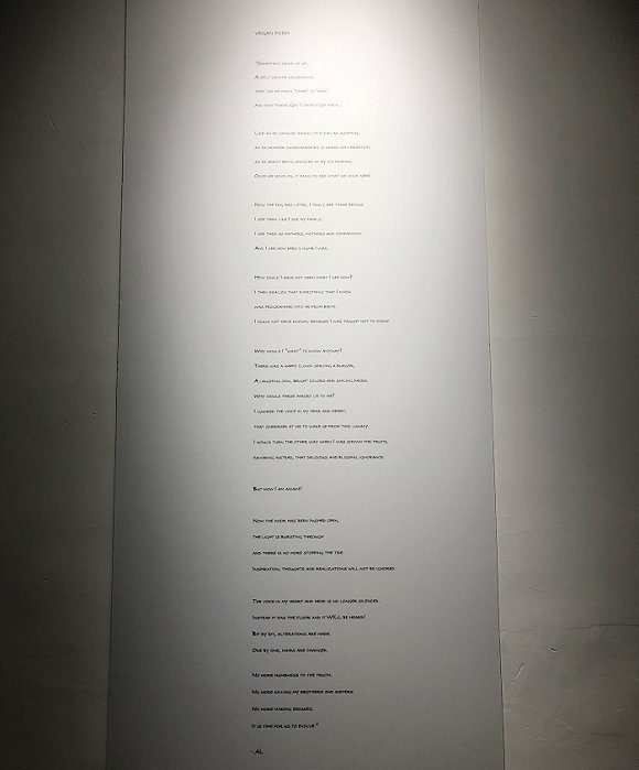 这位给哈里王子拍婚纱照的摄影师，把最美的明星统统带到上海